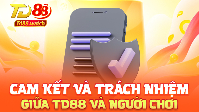 Cam kết và trách nhiệm giữa td88 và người chơi