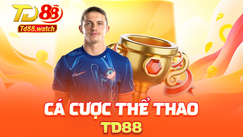 Cá cược thể thao td88