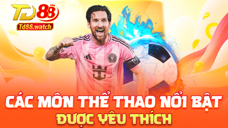Các môn thể thao nổi bật được yêu thích