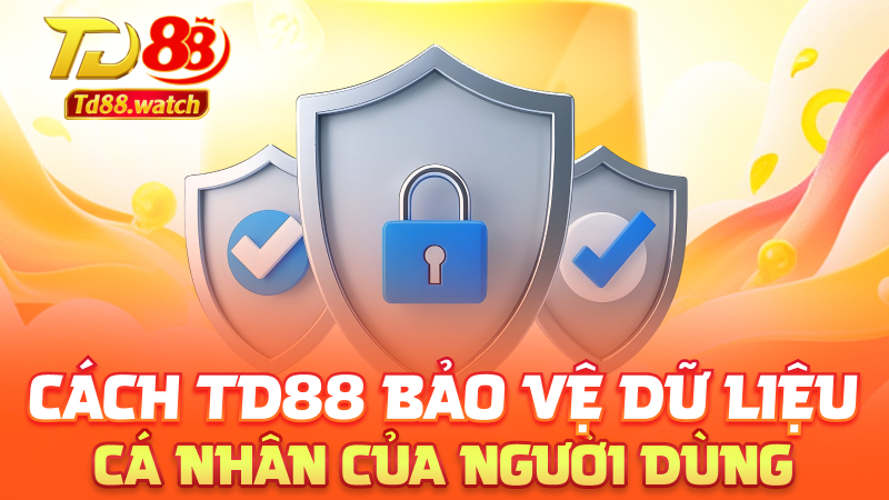 Cách td88 bảo vệ dữ liệu cá nhân của người dùng
