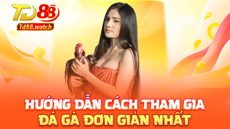 Hướng dẫn cách tham gia đá gà đơn giản nhất